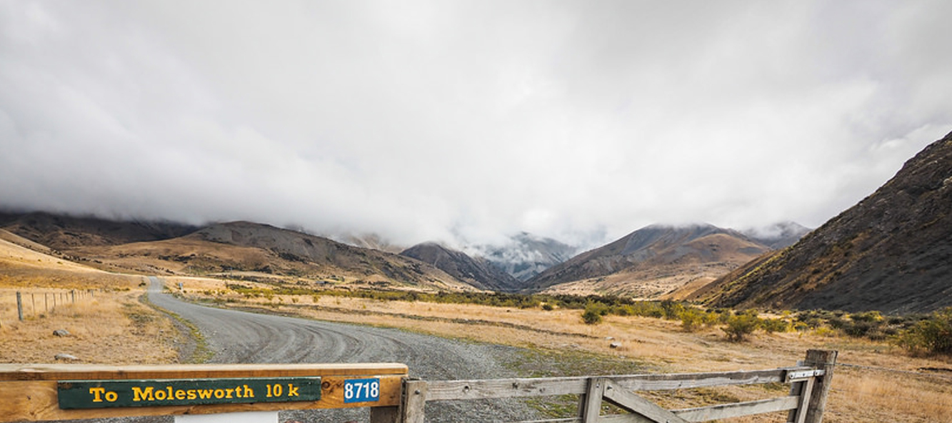 Think Piece 28 – Biological Corridors Throughout the Length of New Zealand
