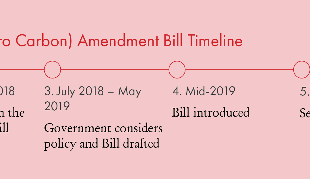 Select Committee: Climate change Response (Zero Carbon) Amendment Bill