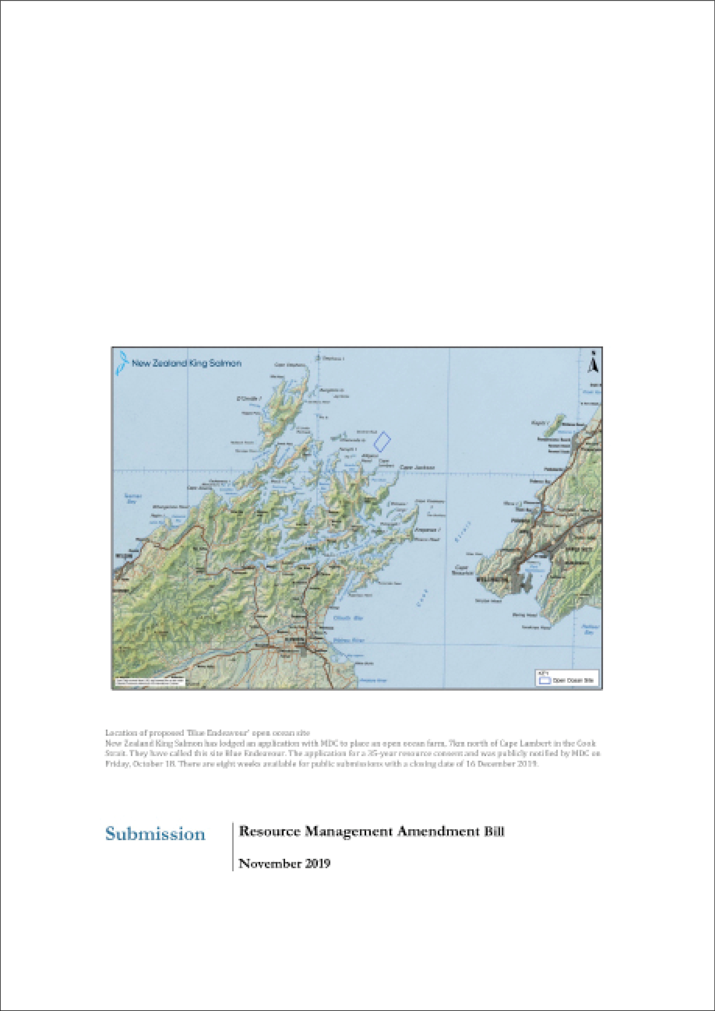 Submission 2019/06 – Resource Management Amendment Bill 