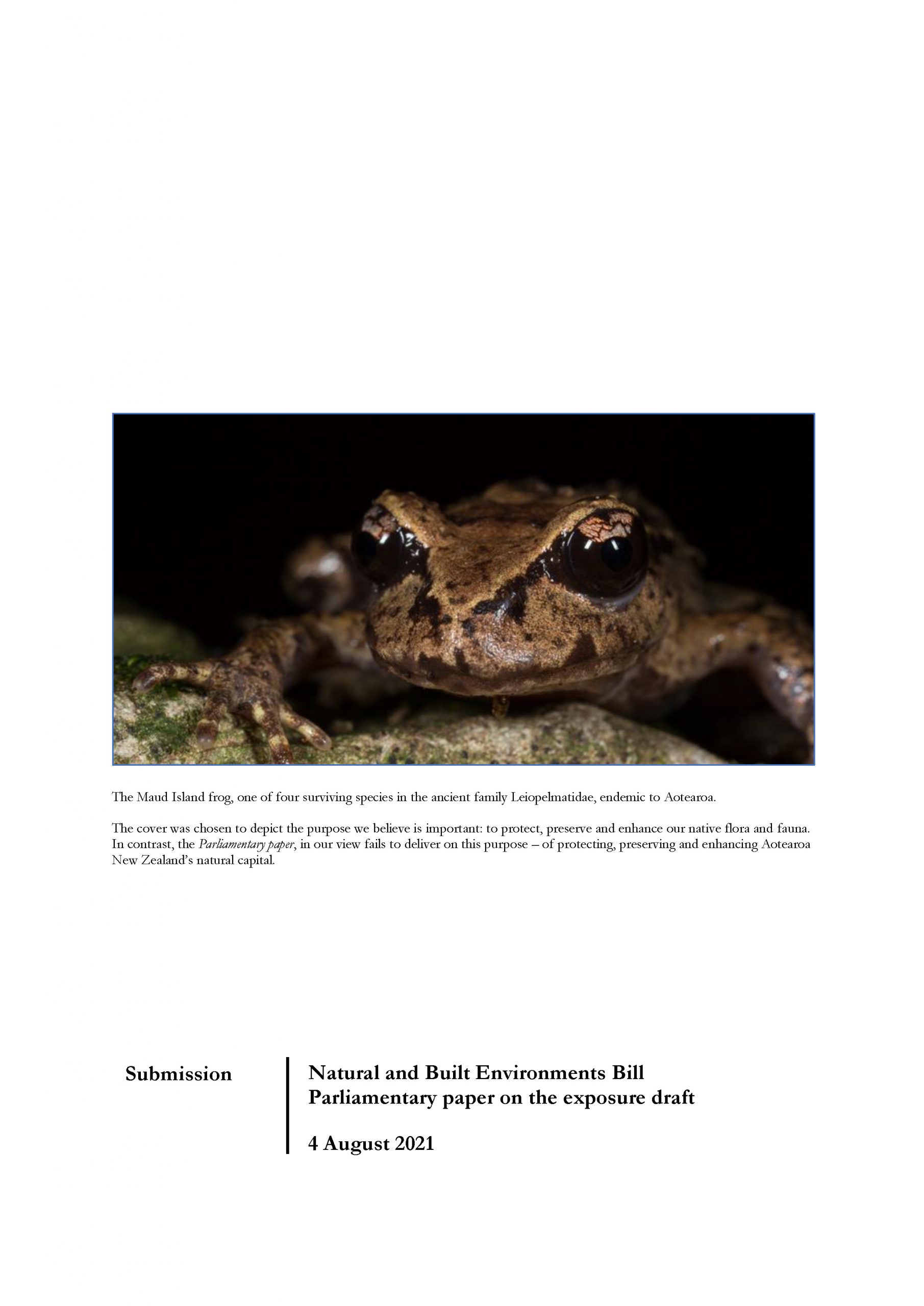 Submission 2021/05 – Natural and Built Environments Bill Parliamentary paper on the exposure draft 