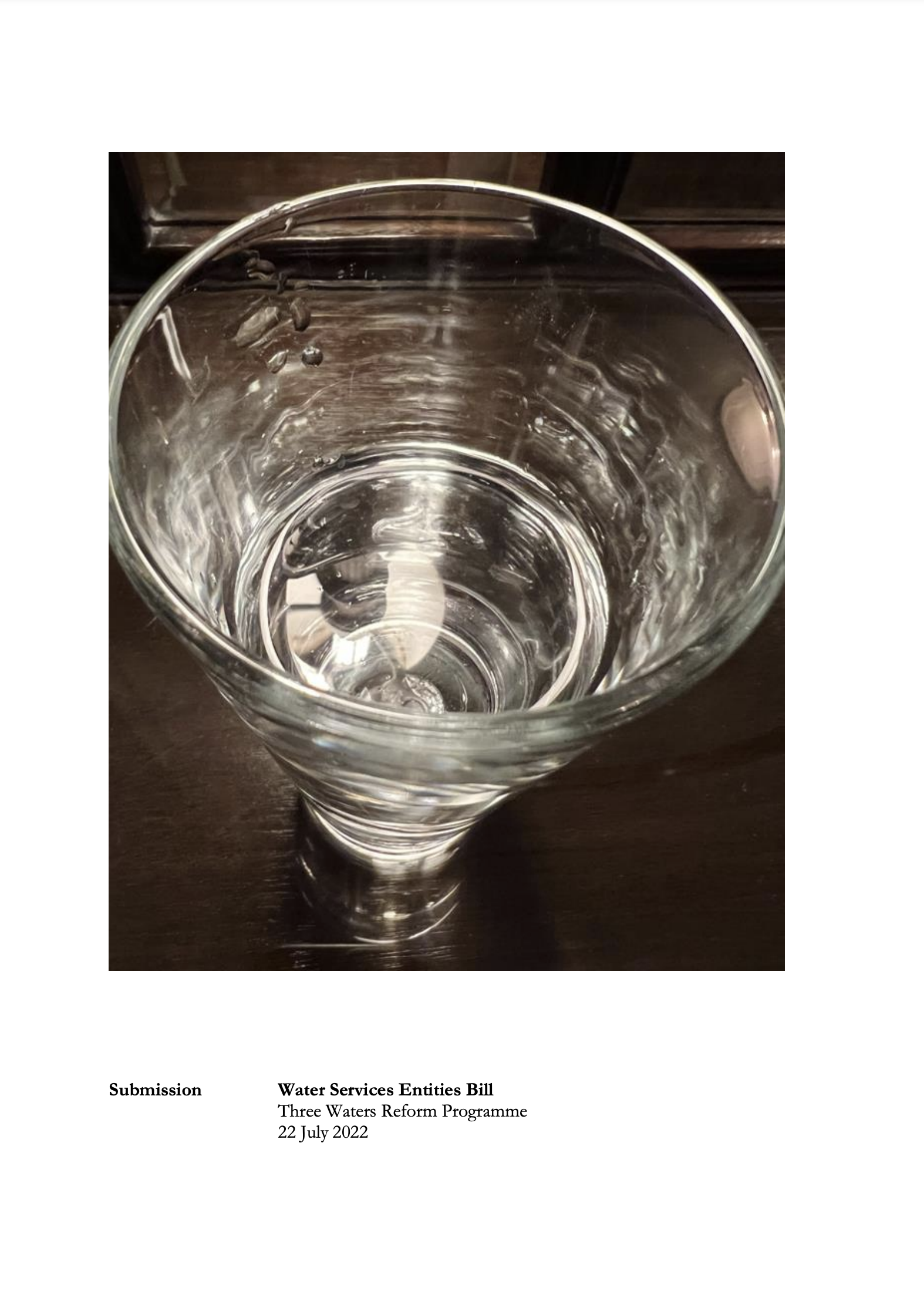 Submission 2022/08 – Water Services Entities Bill: Three Waters Reform Programme