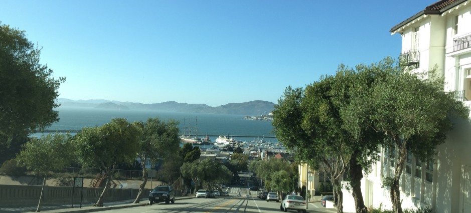 Think Piece 23 – The Future of Talent: Reflections from the World Future Society Conference