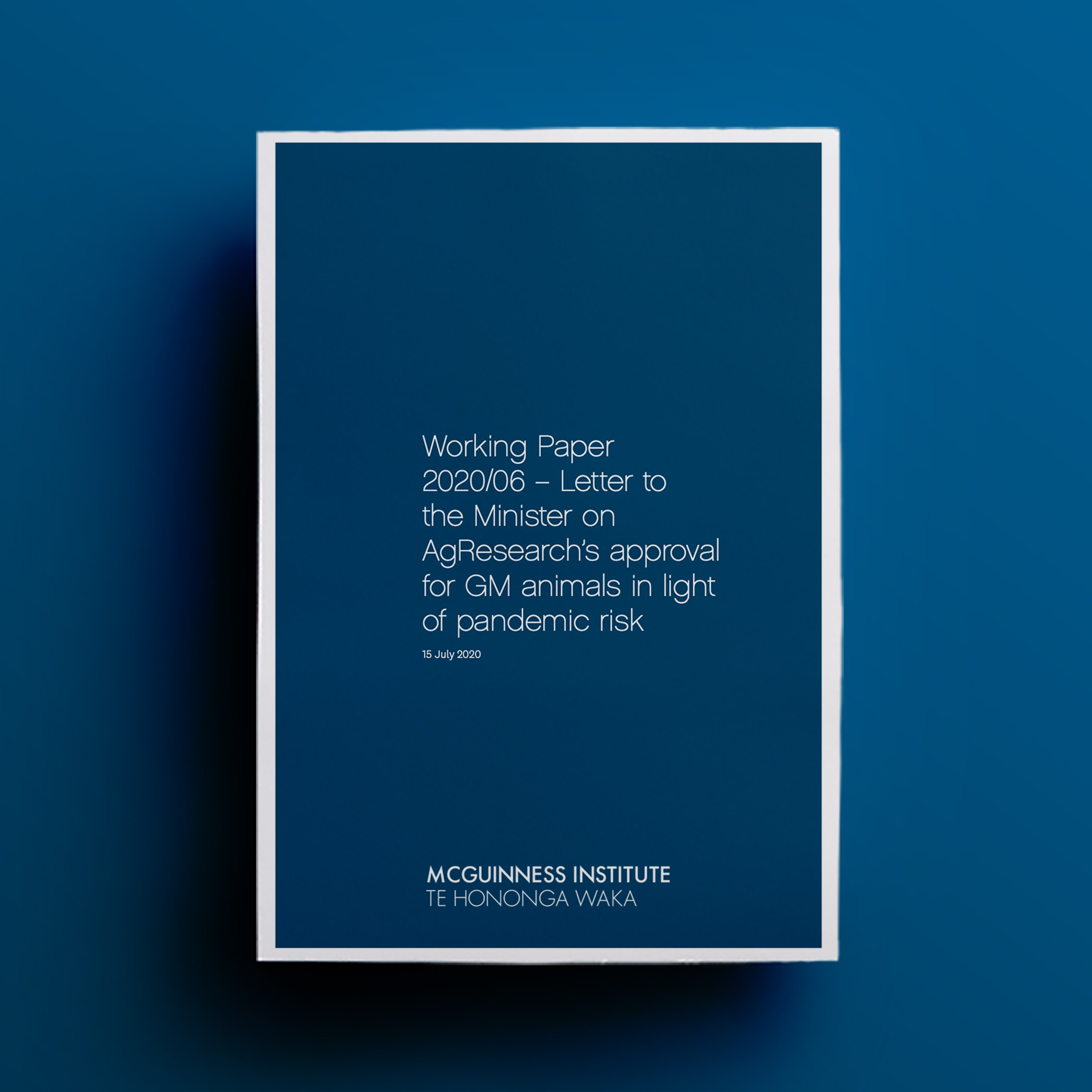 Working-Paper-2020_06