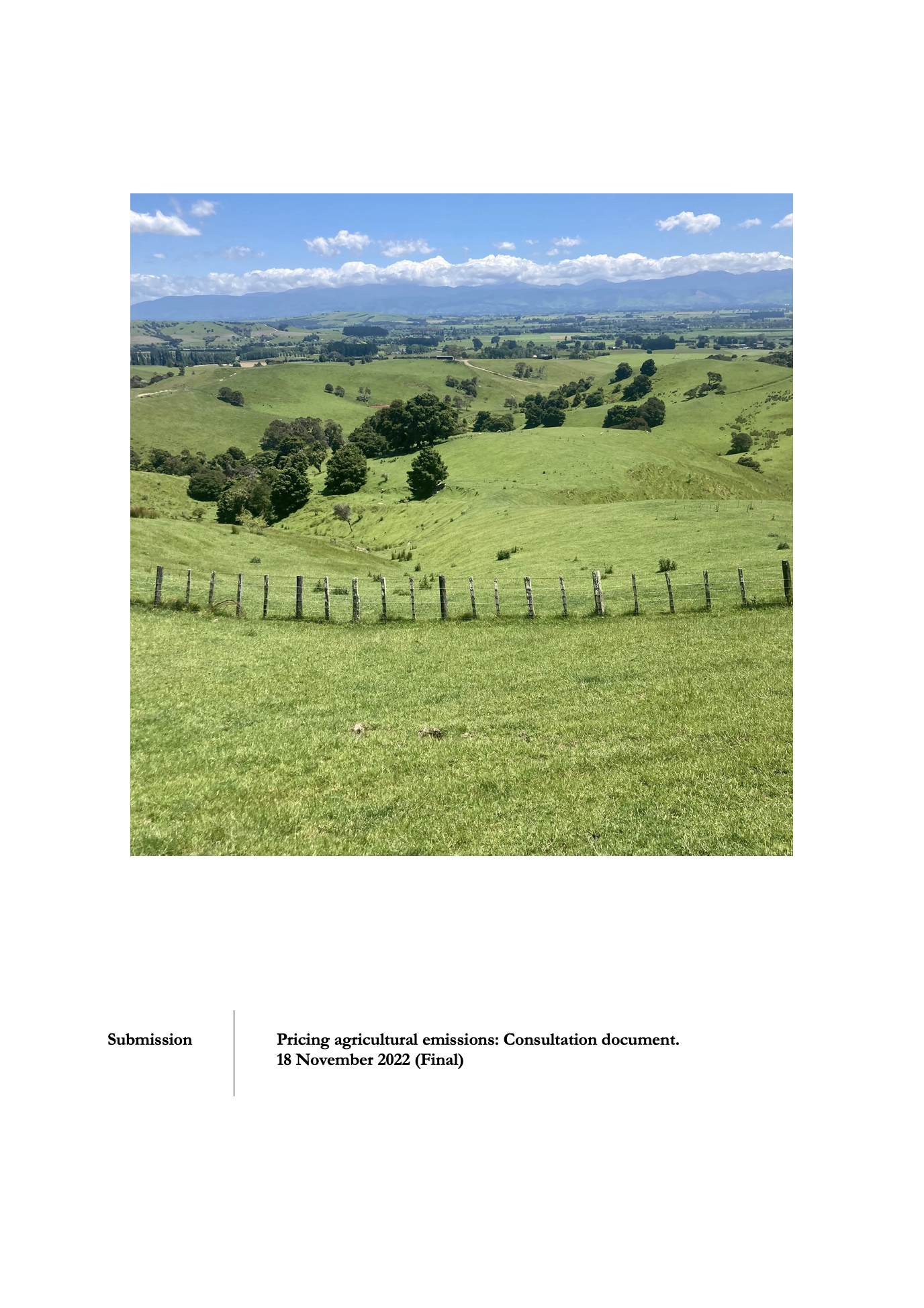 Submission 2022/13 – Pricing agricultural emissions: Consultation document