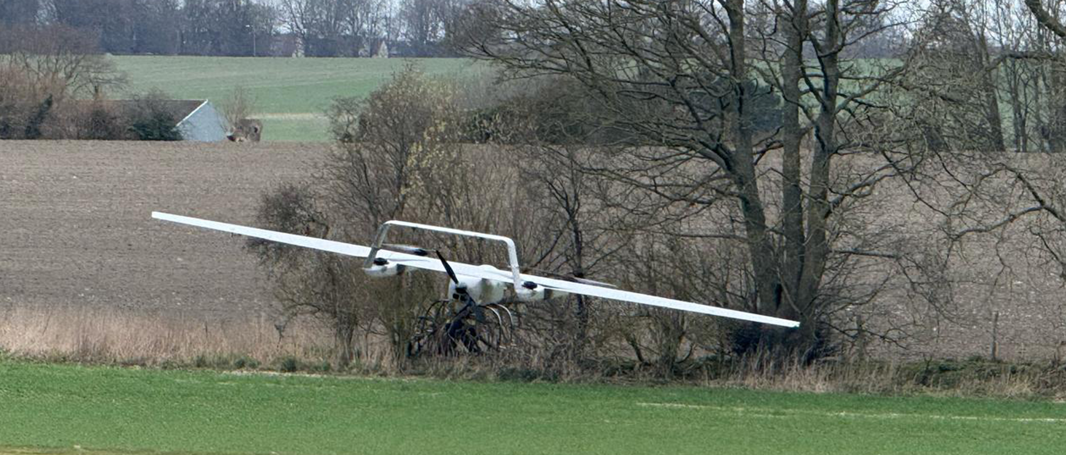 Think Piece 41 – Our first Long-Term Insights Briefings