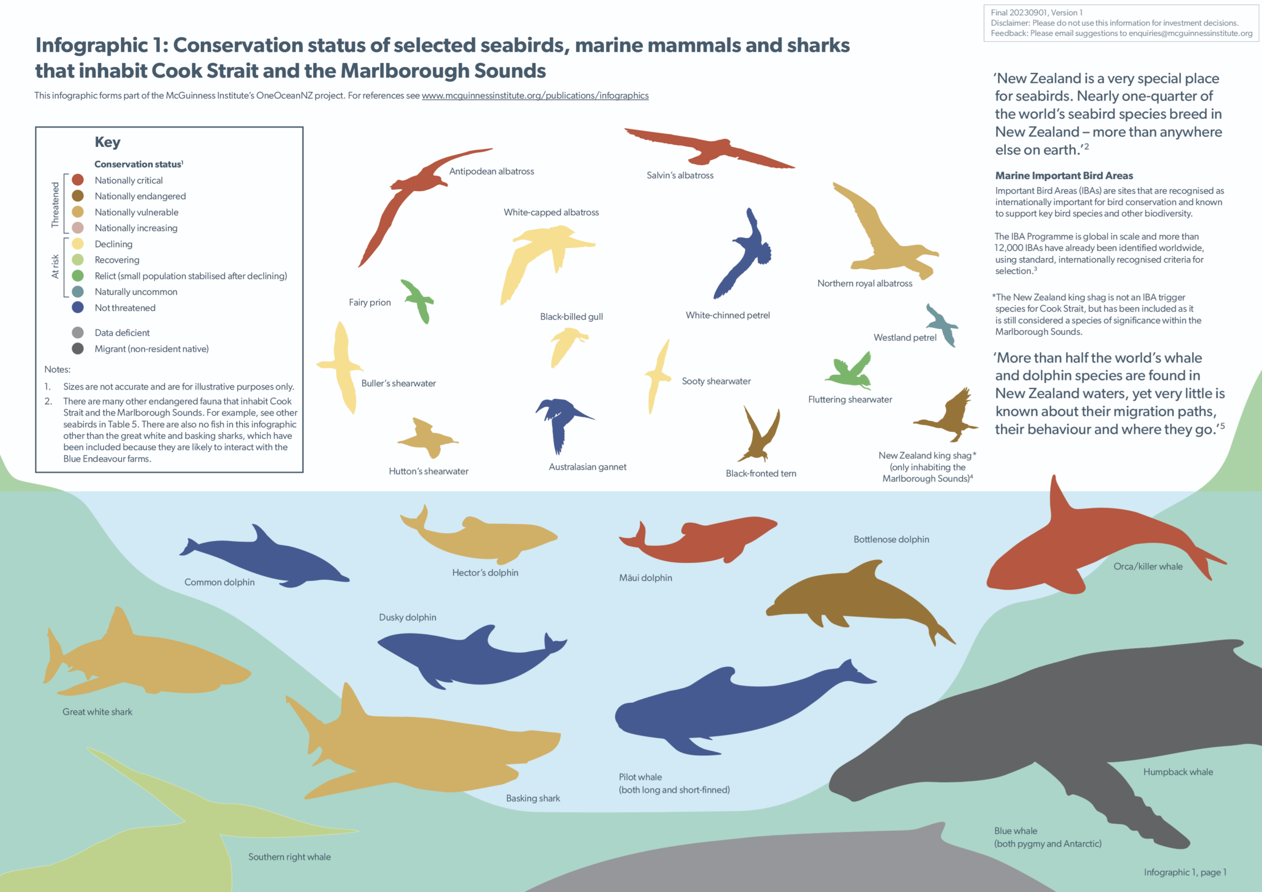 Infographic 1: Conservation status of selected seabirds, marine mammals and sharks that inhabit Cook Strait and the Marlborough Sounds